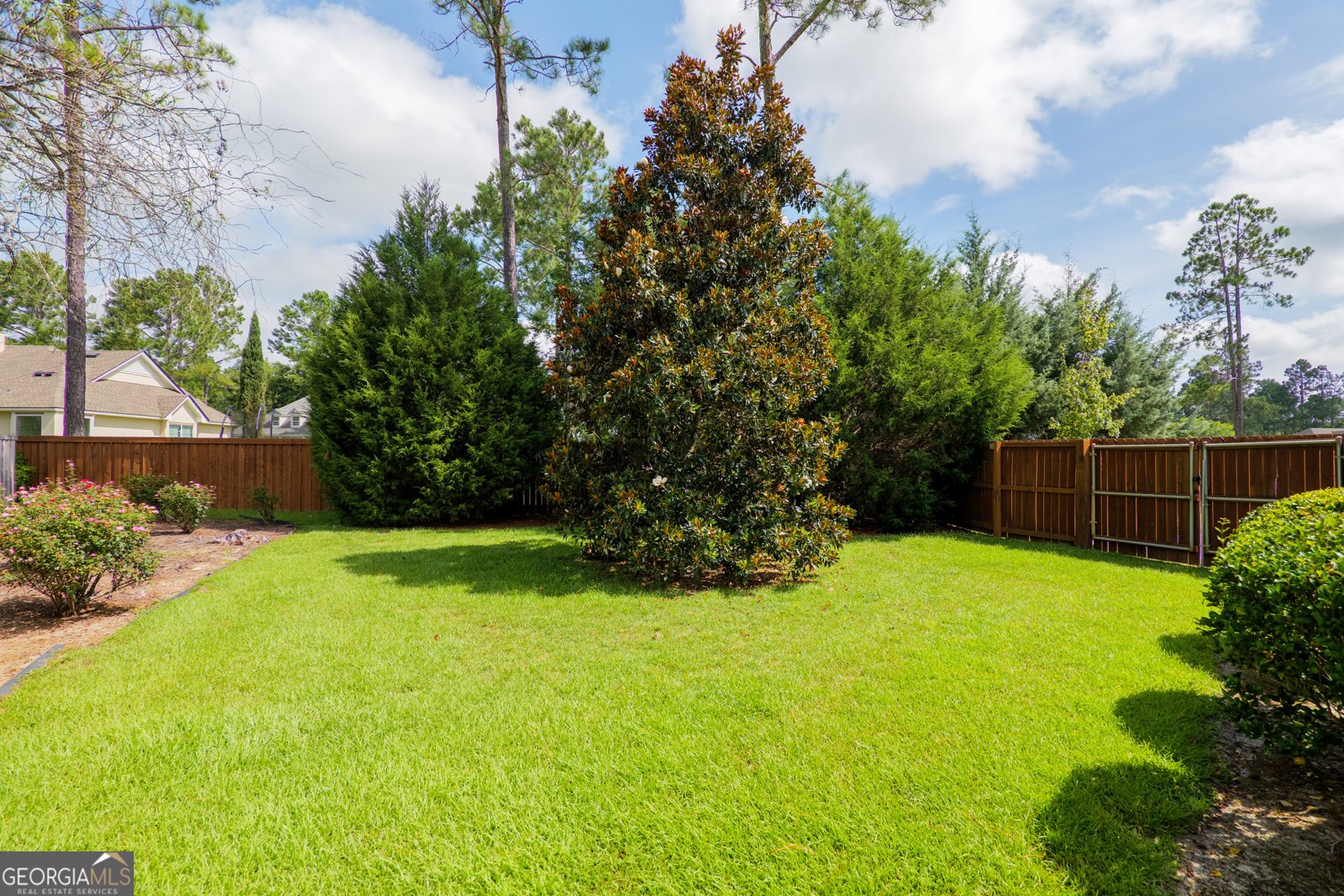 7323 Mill Ridge Drive Hahira - 40