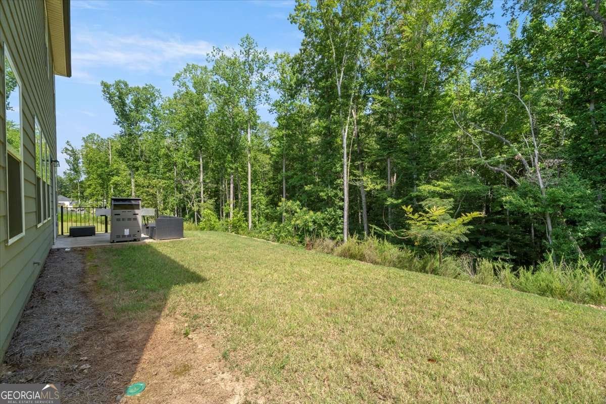 51 Long Leaf Street Dawsonville - 48