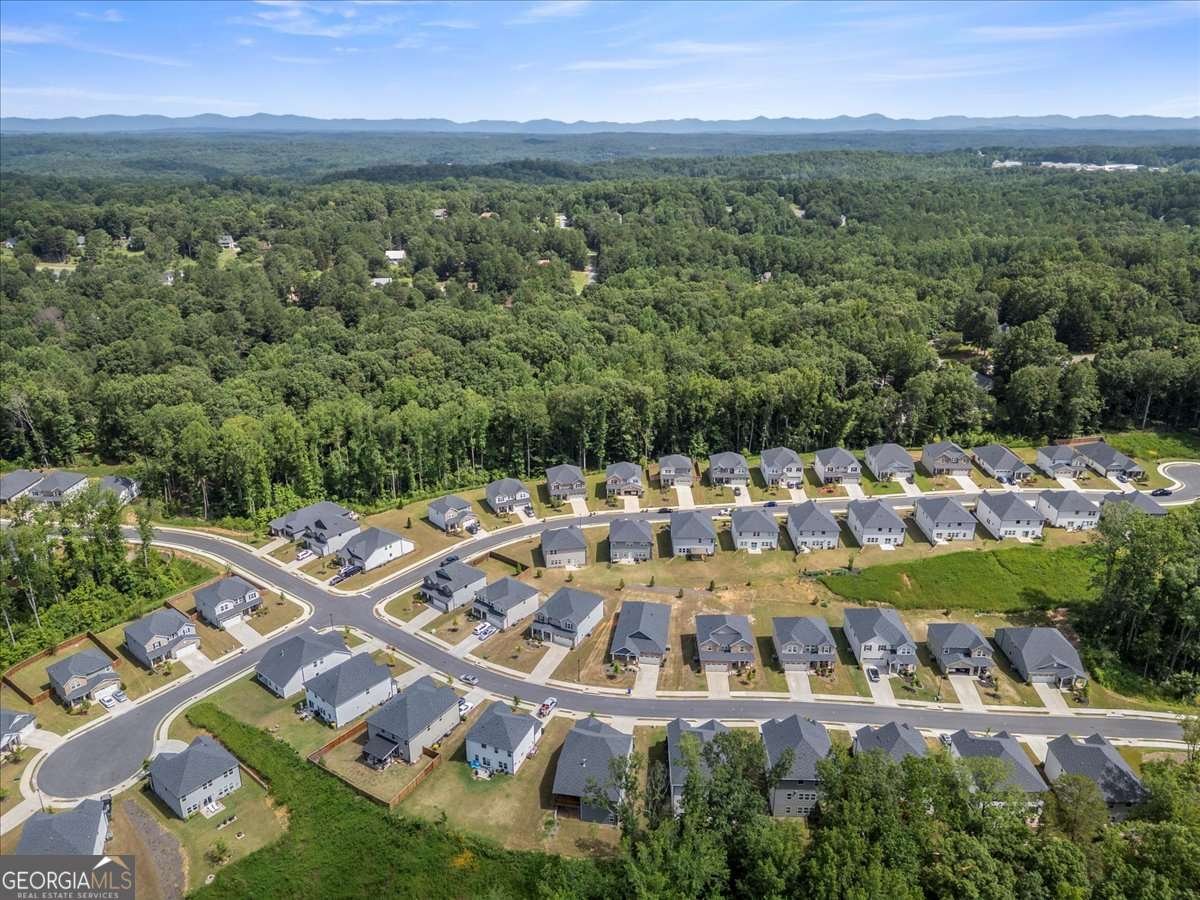 51 Long Leaf Street Dawsonville - 9