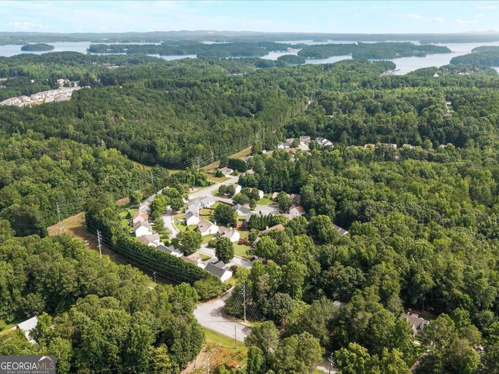 1705 Ambercrest Place Buford - 37