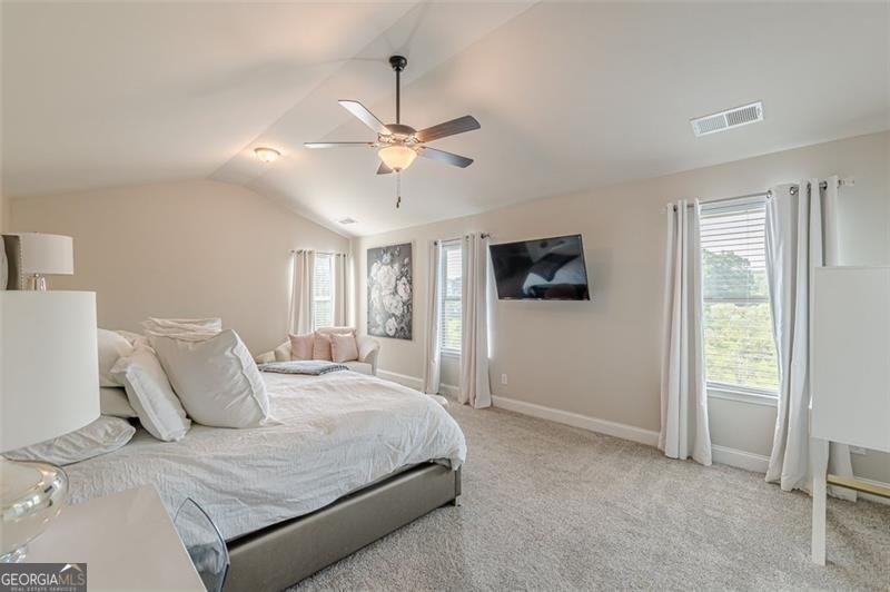 233 JANNEY Circle Mcdonough - 3
