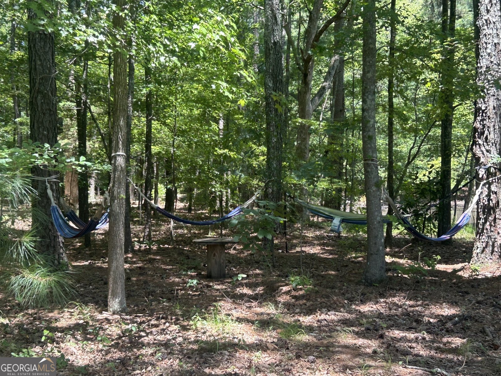 134 Salem Drive Rome - 3