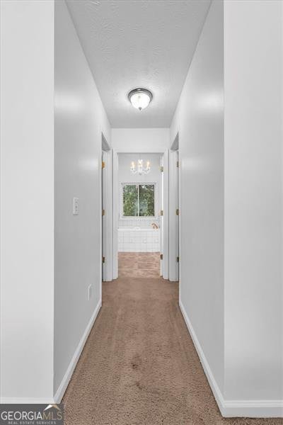 1350 Summer Lake Loganville - 29