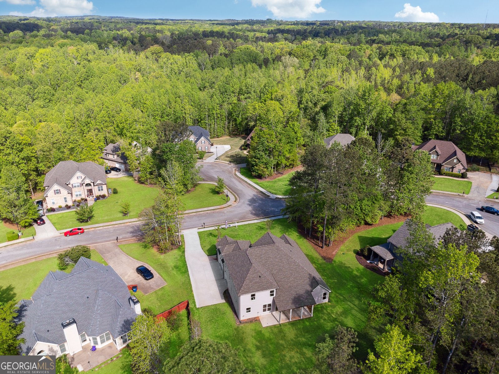 7260 Bluewater Lane Douglasville - 44