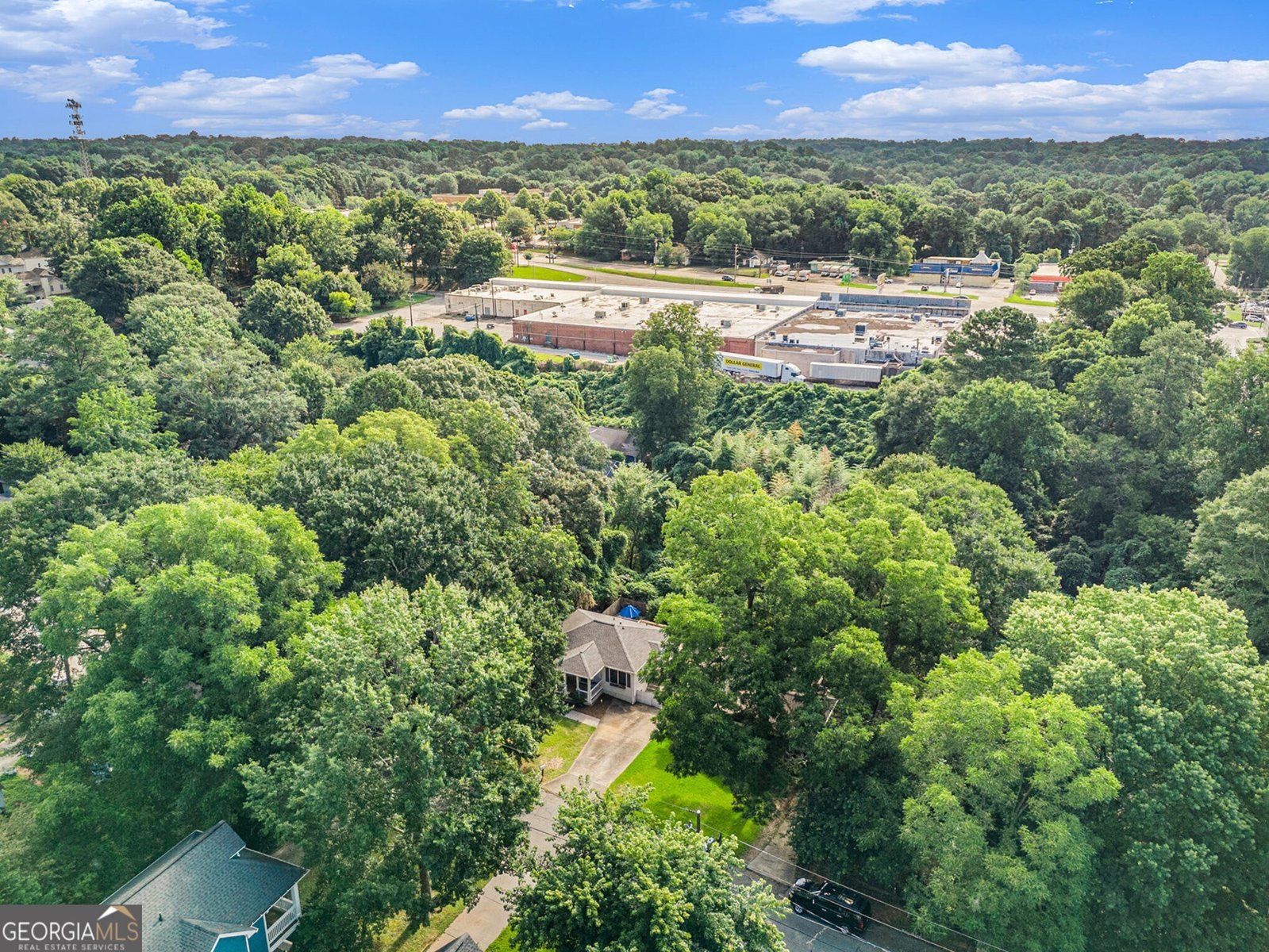 1256 Danner Street Atlanta - 29