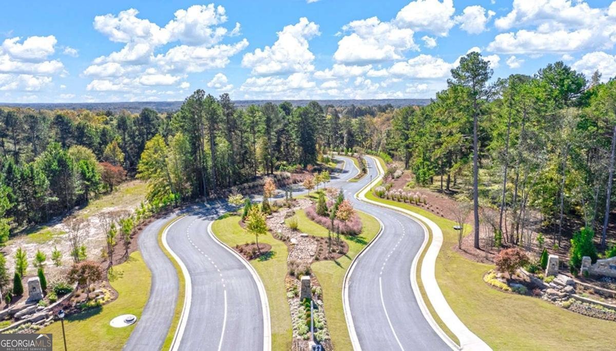 204 Storm Lane Hoschton - 3