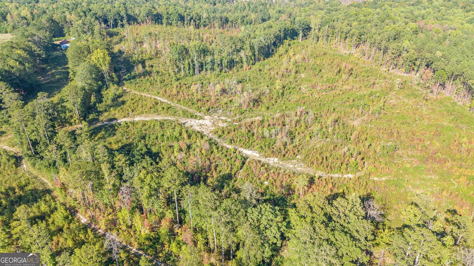 617 Thomas Powers Road Newnan - 11