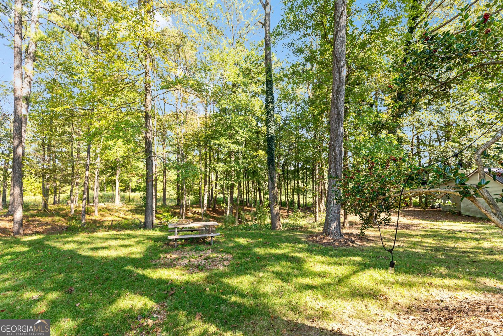 617 Thomas Powers Road Newnan - 22