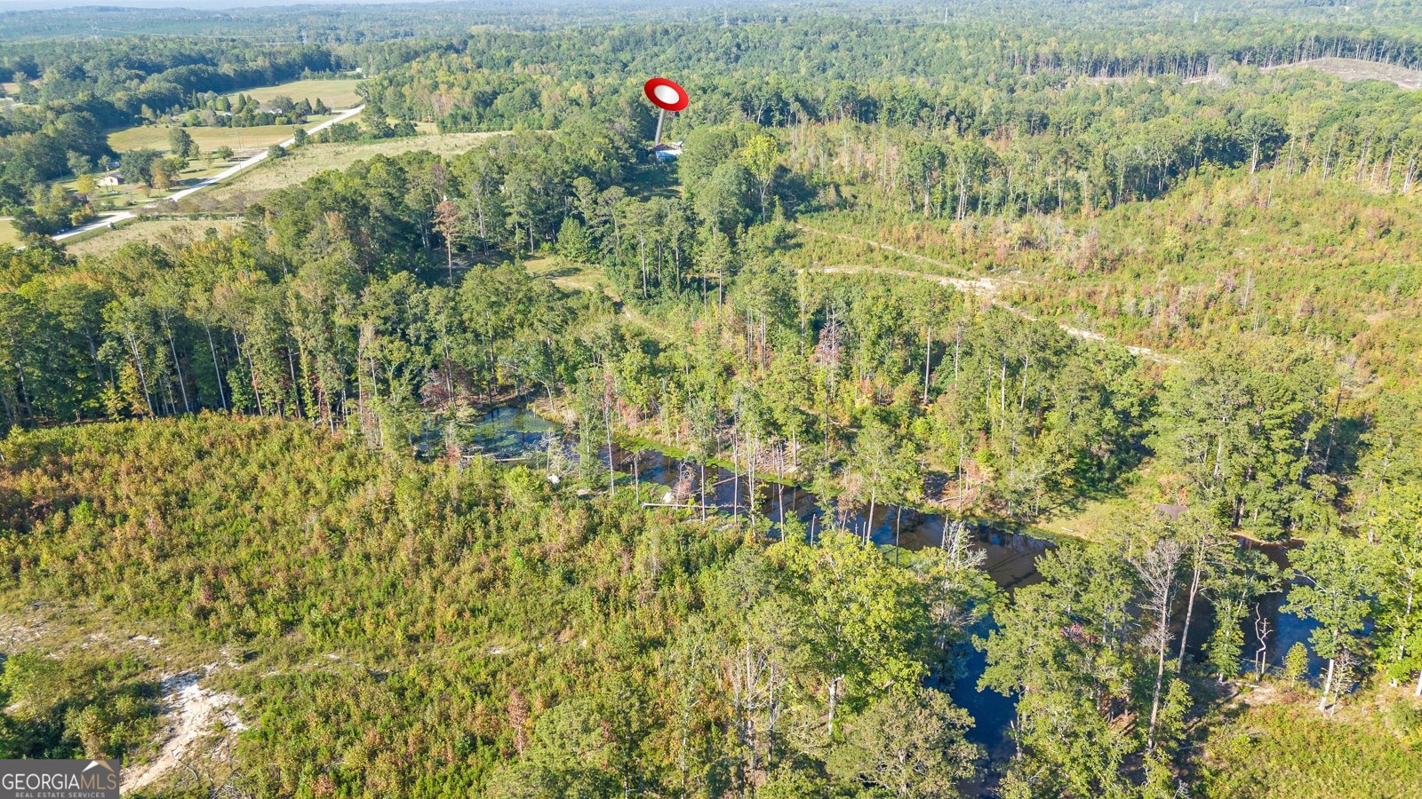 617 Thomas Powers Road Newnan - 9