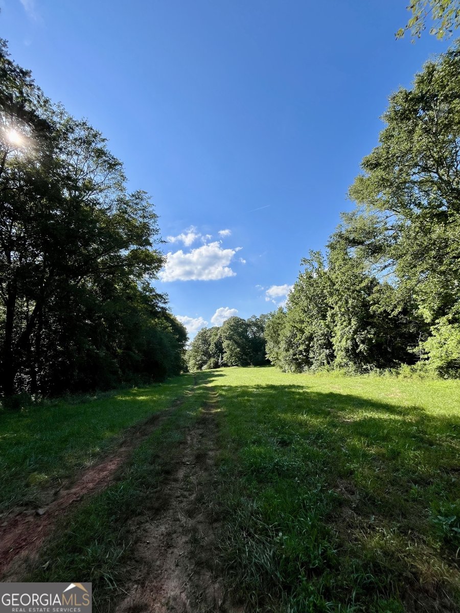 274 Red Barn Road Bowdon - 31