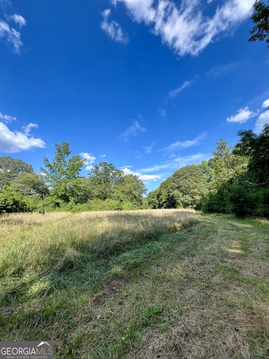 274 Red Barn Road Bowdon - 38
