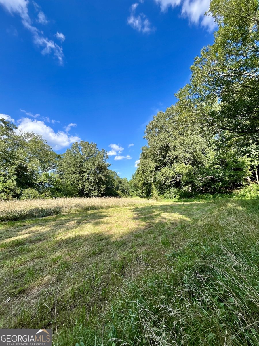 274 Red Barn Road Bowdon - 39