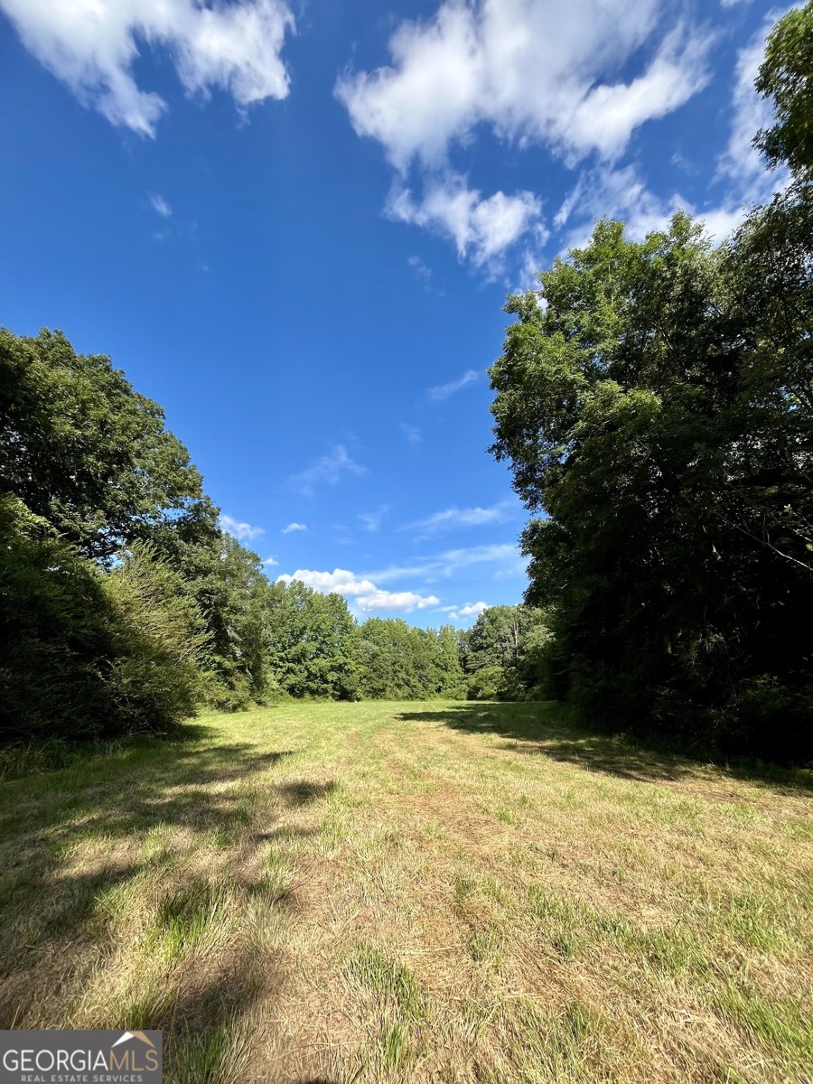 274 Red Barn Road Bowdon - 40