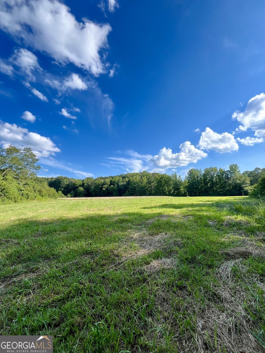 274 Red Barn Road Bowdon - 43