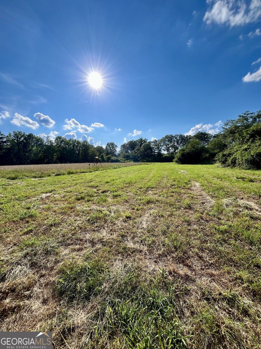 274 Red Barn Road Bowdon - 44