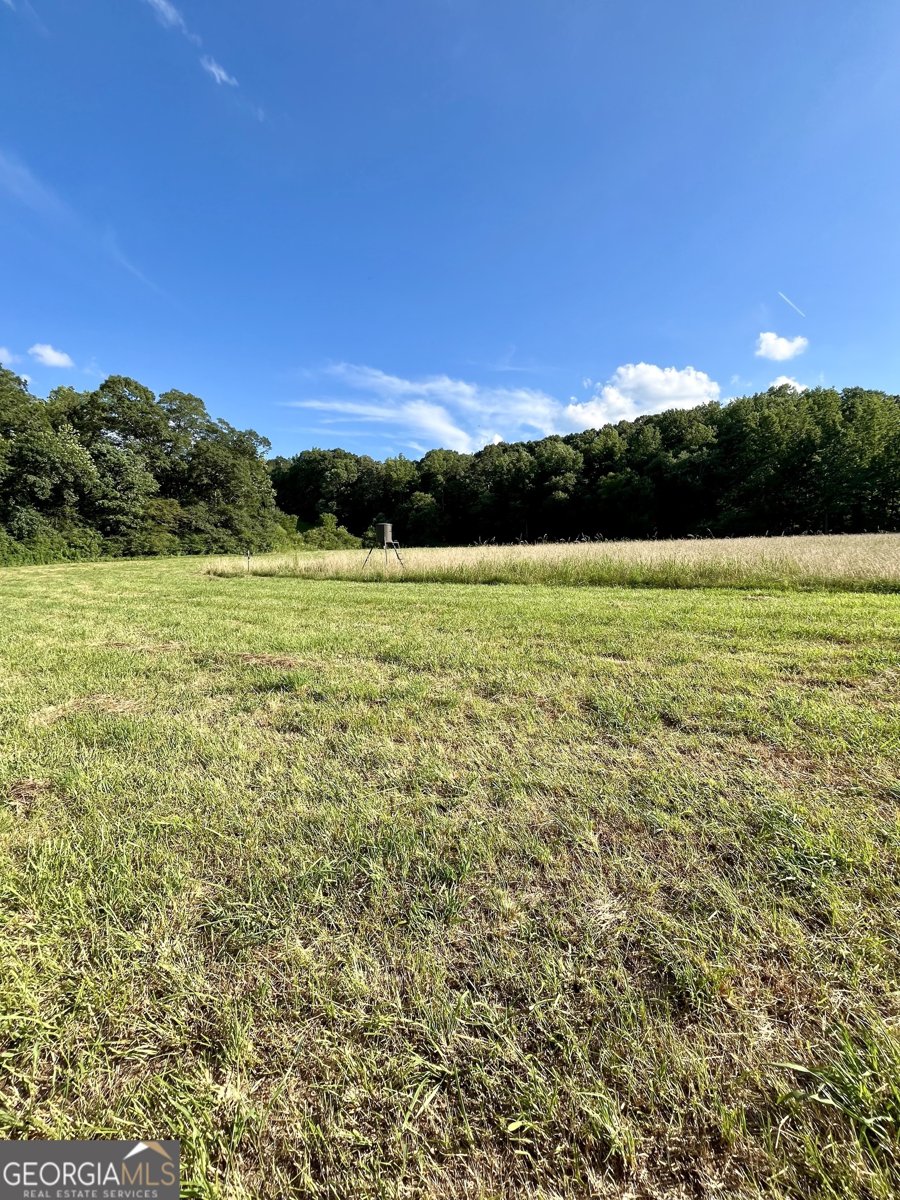 274 Red Barn Road Bowdon - 45