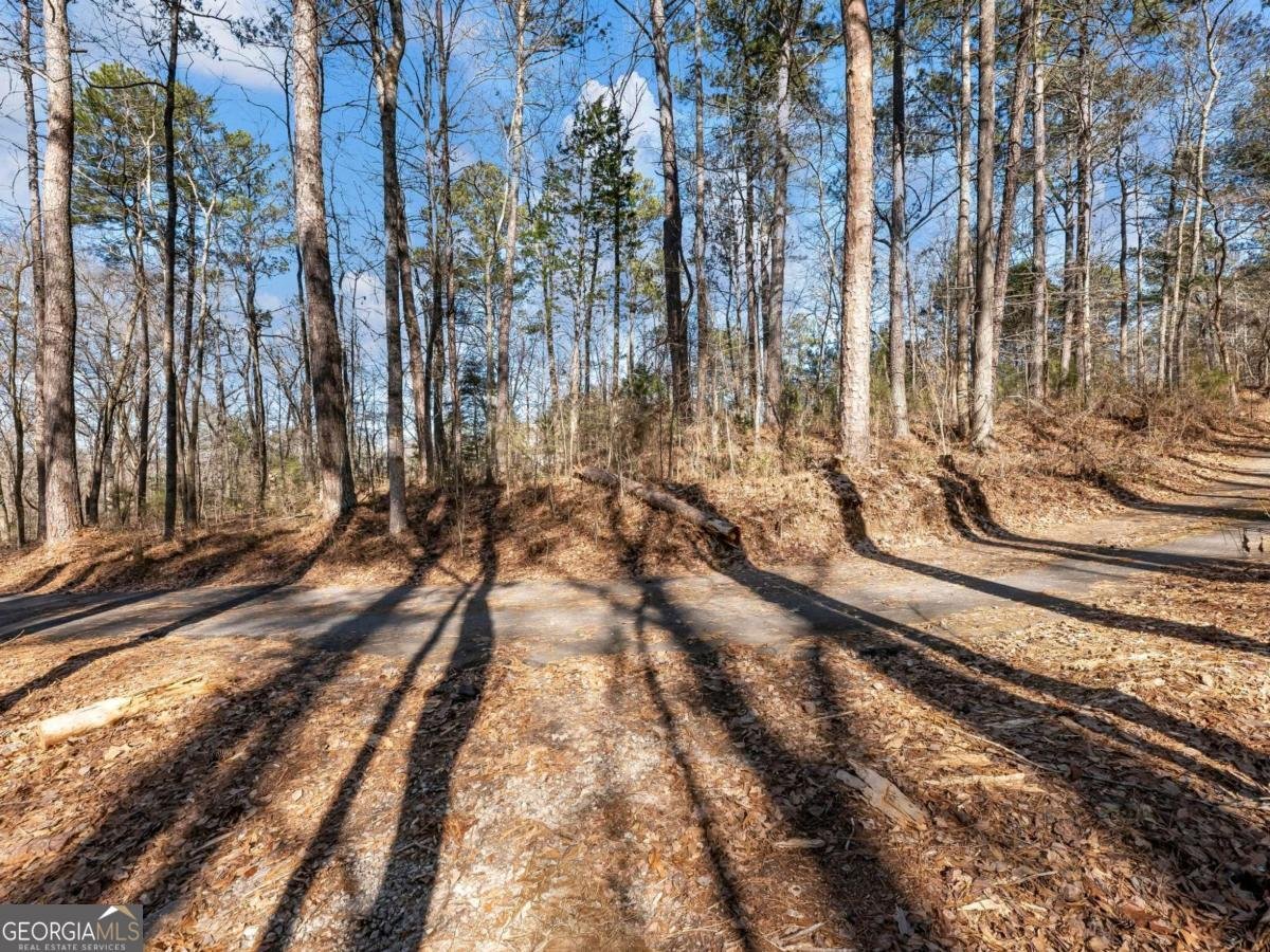 2402 Highway 138 Conyers - 56