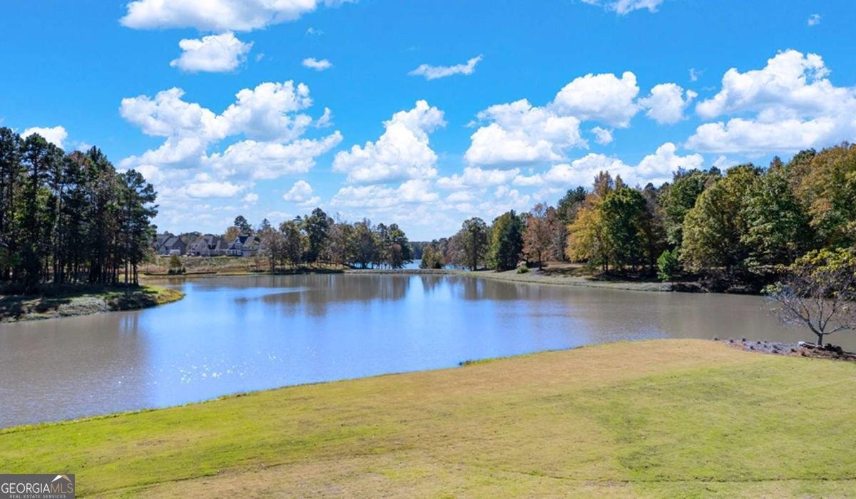 166 Storm Lane Hoschton - 6