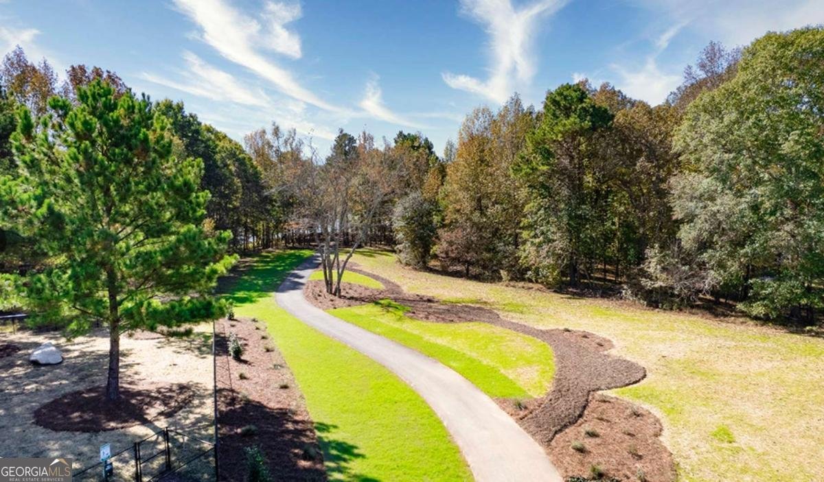166 Storm Lane Hoschton - 8