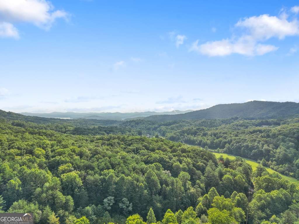 12 Ridge Trail Blue Ridge - 26
