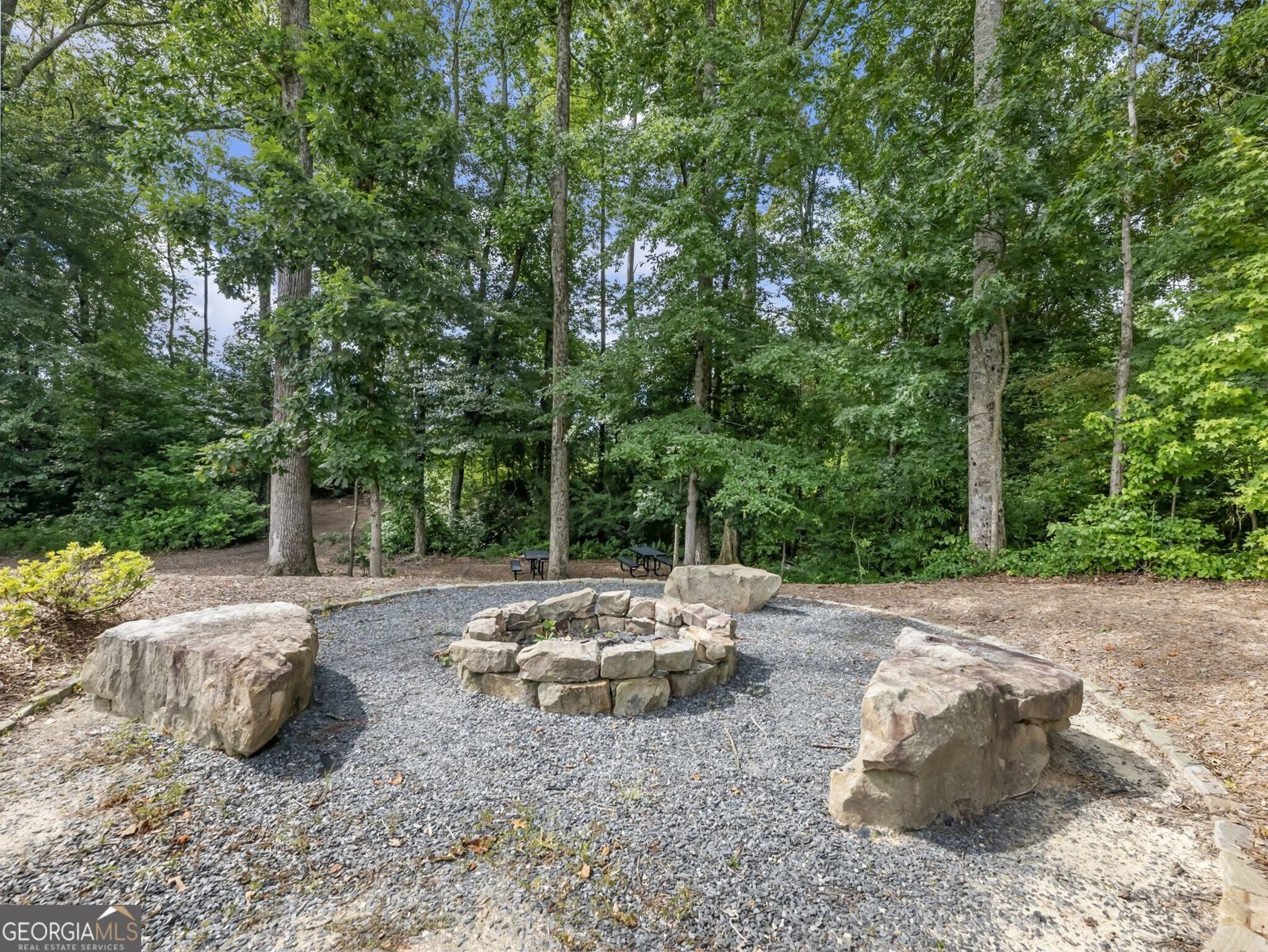 3790 Salvia Drive Buford - 47