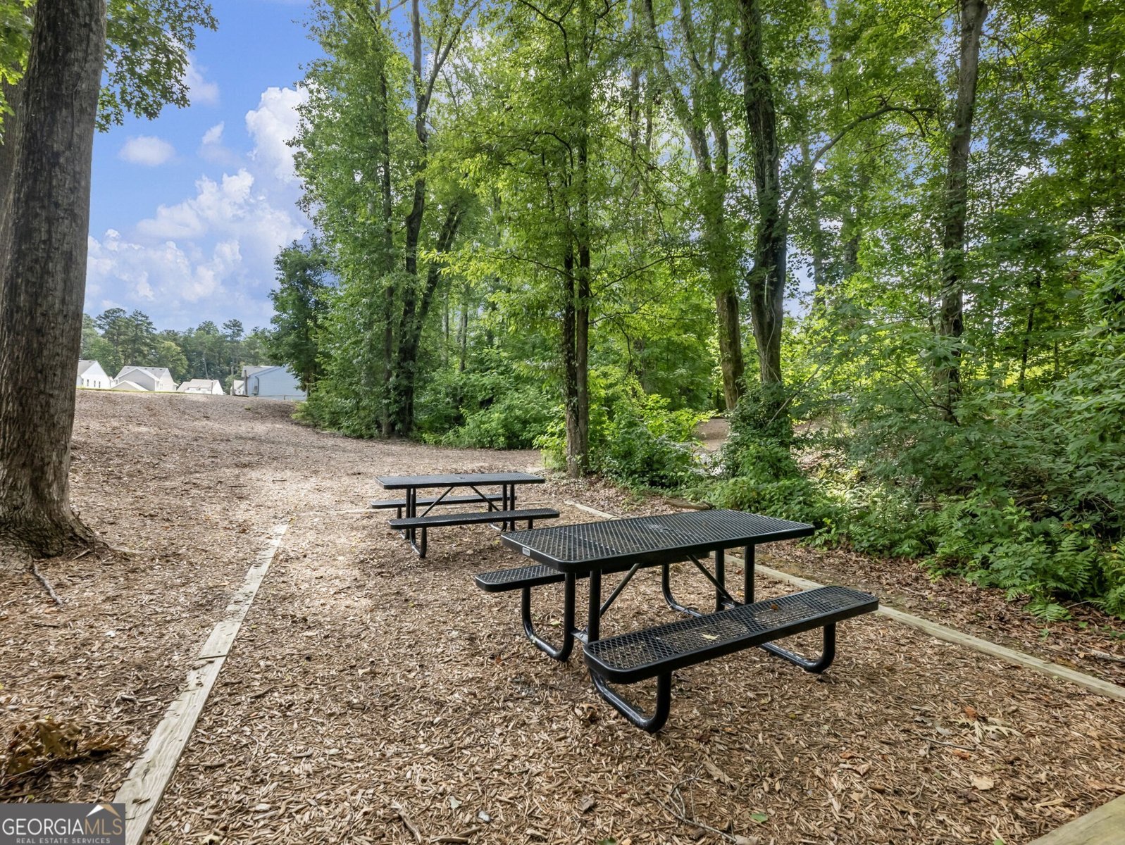 3790 Salvia Drive Buford - 48