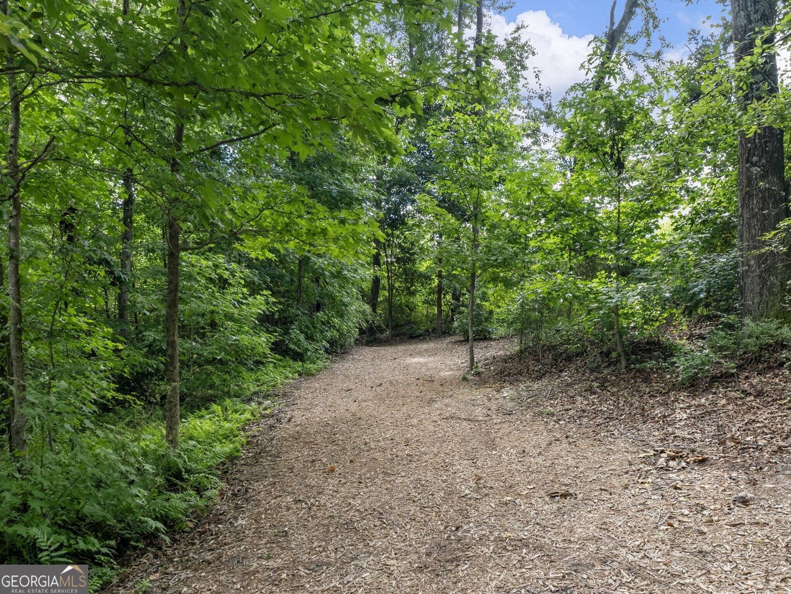 3790 Salvia Drive Buford - 49