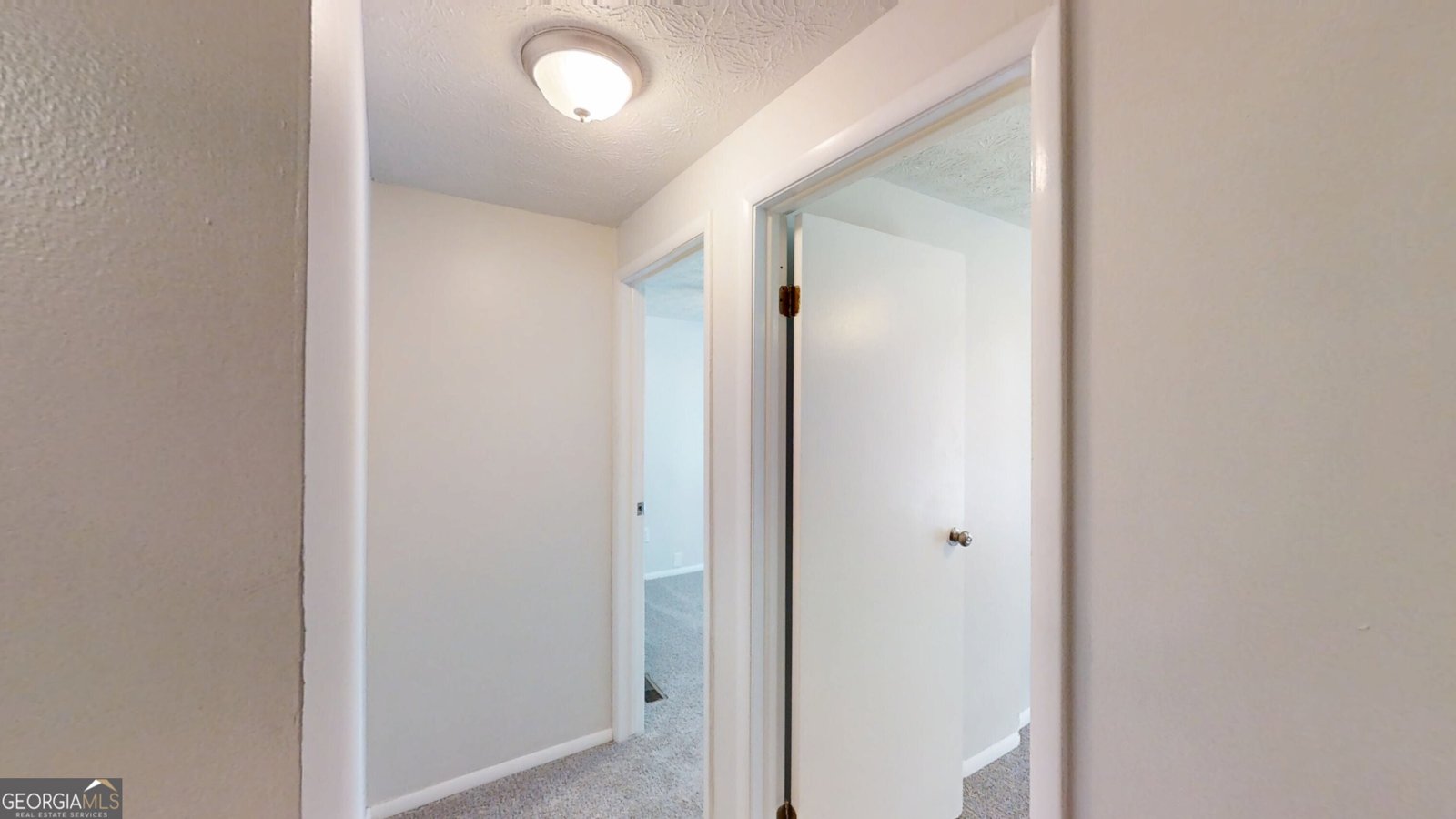 1417 Springleaf Circle Smyrna - 16