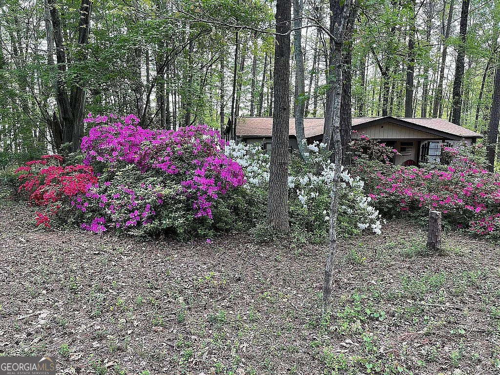 86 Piney Ridge Road Martin - 10