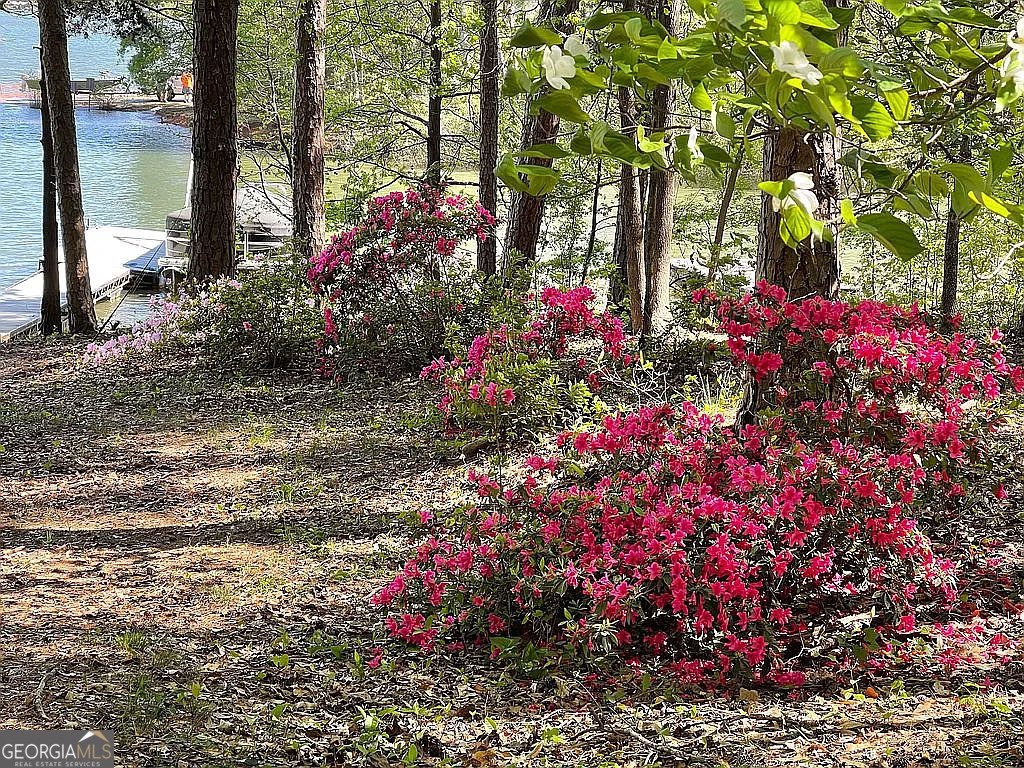 86 Piney Ridge Road Martin - 8