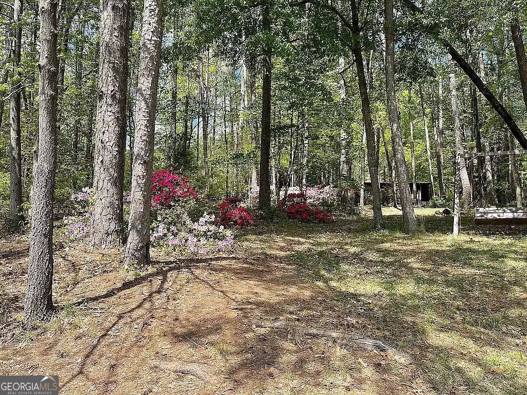 86 Piney Ridge Road Martin - 9