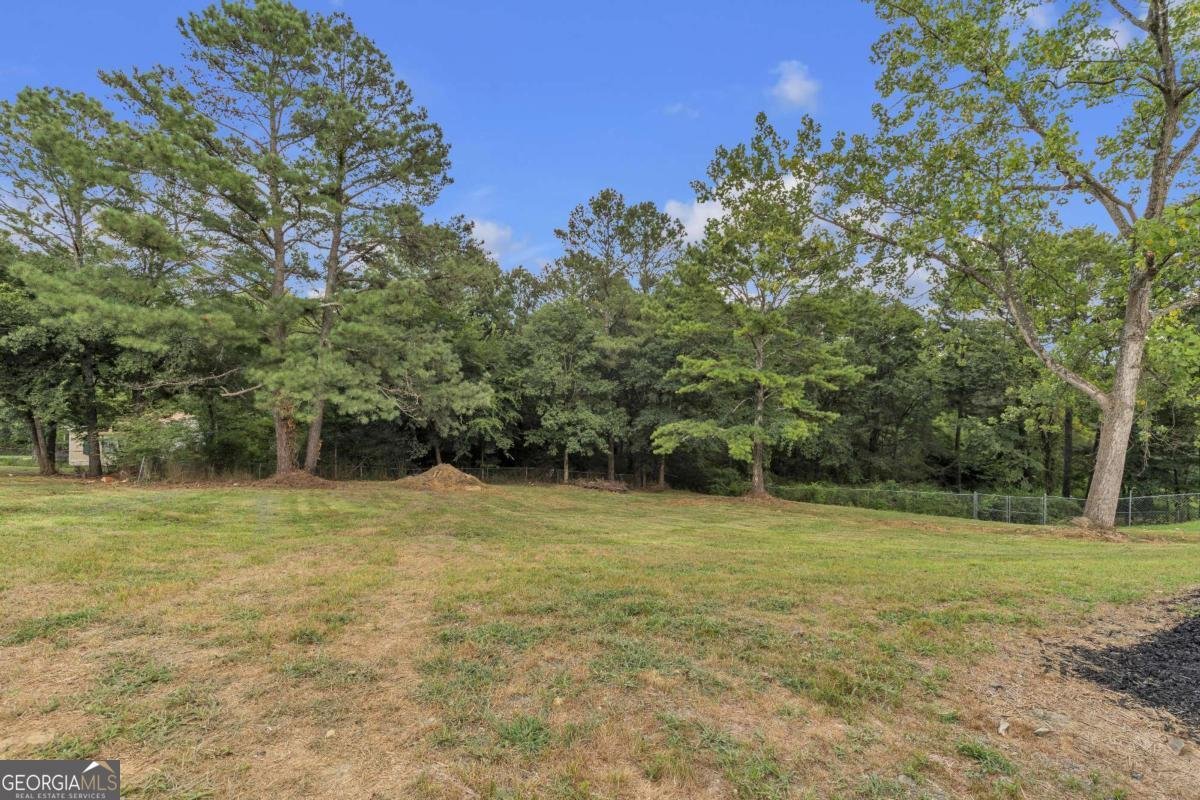 82 Spruce Lane Cartersville - 24