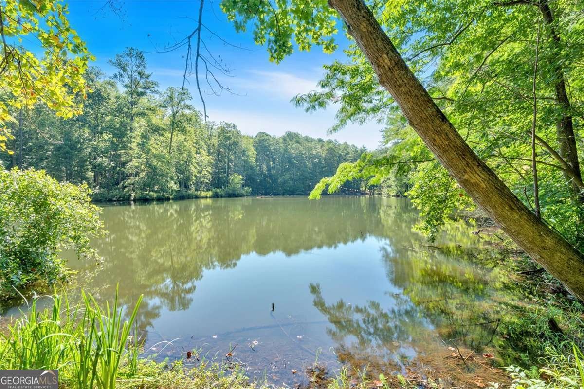 3044 Cypress Cove Ball Ground - 59