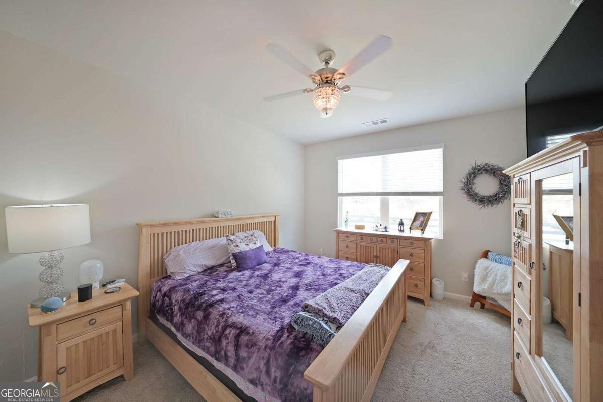 6765 STAR GAZE Court Flowery Branch - 13