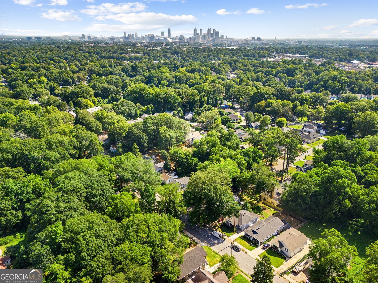 1152 Oakland Drive Atlanta - 45