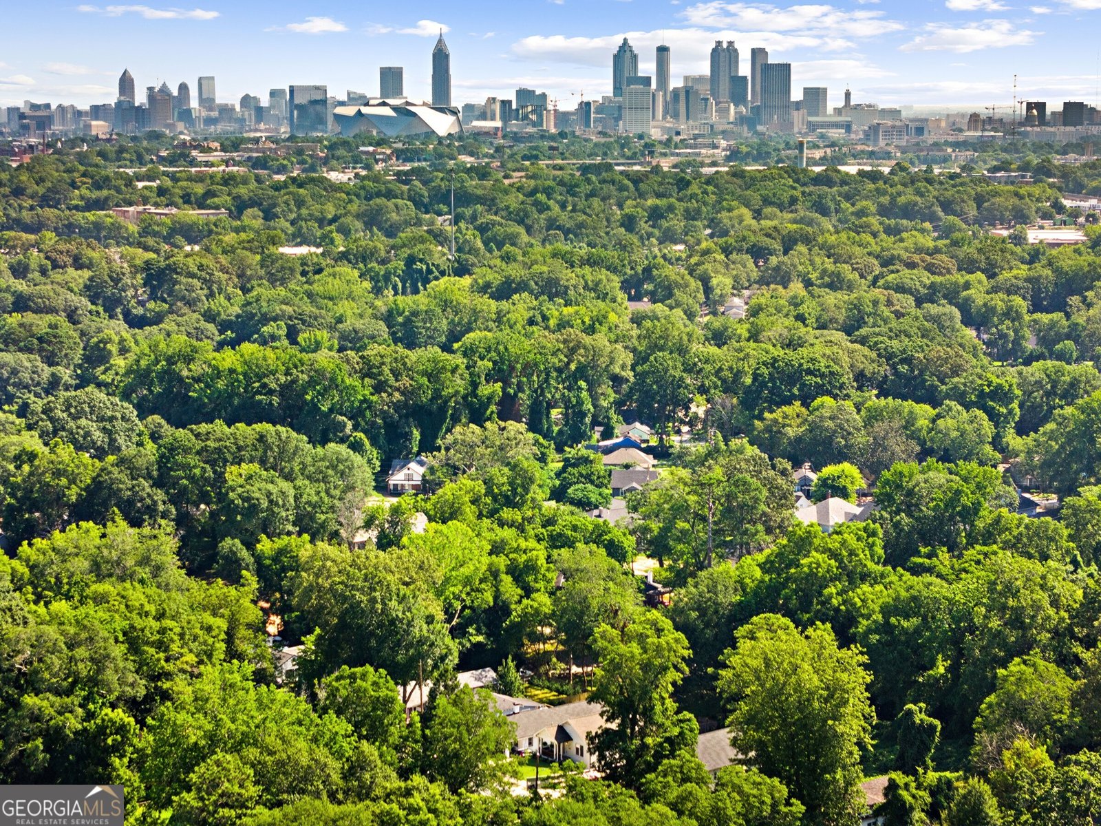 1152 Oakland Drive Atlanta - 46
