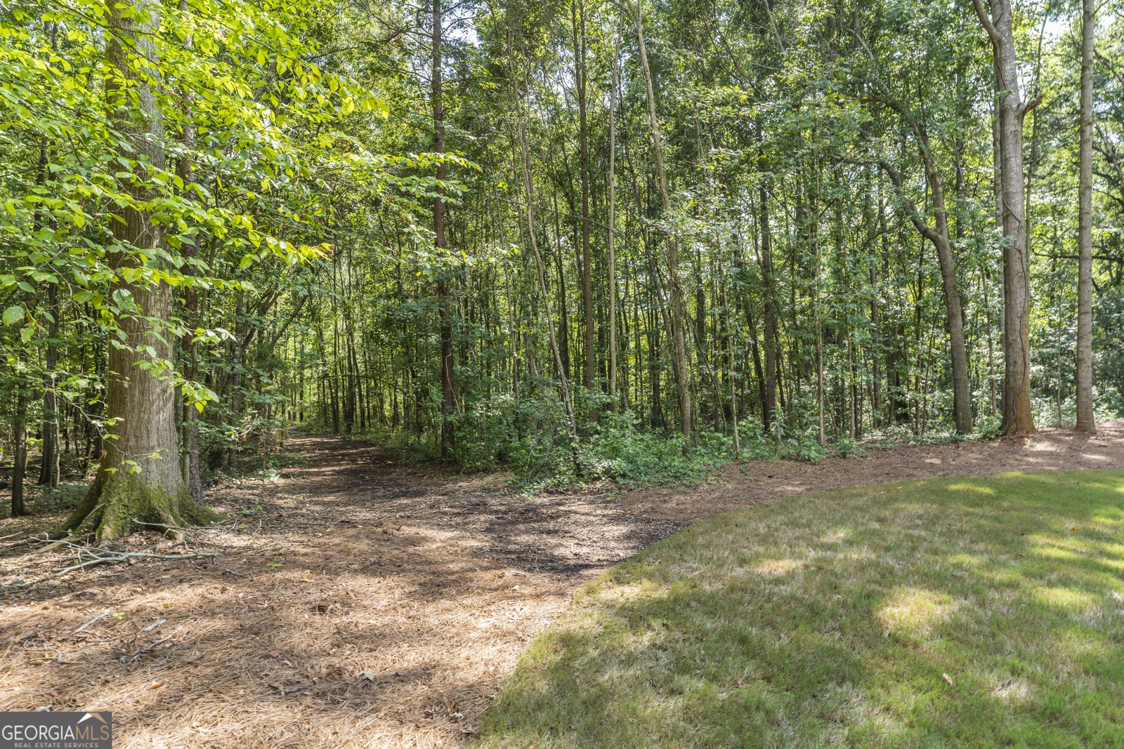 337 Sandy Creek Road Commerce - 61