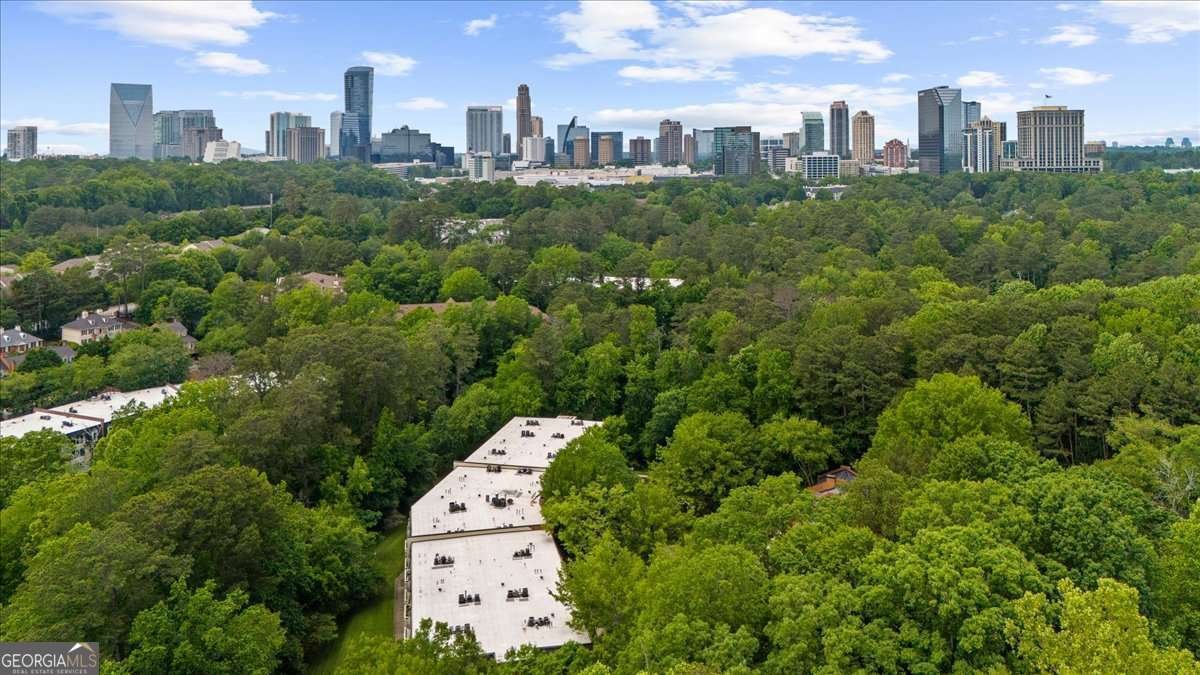 25305 Plantation Drive Atlanta - 27