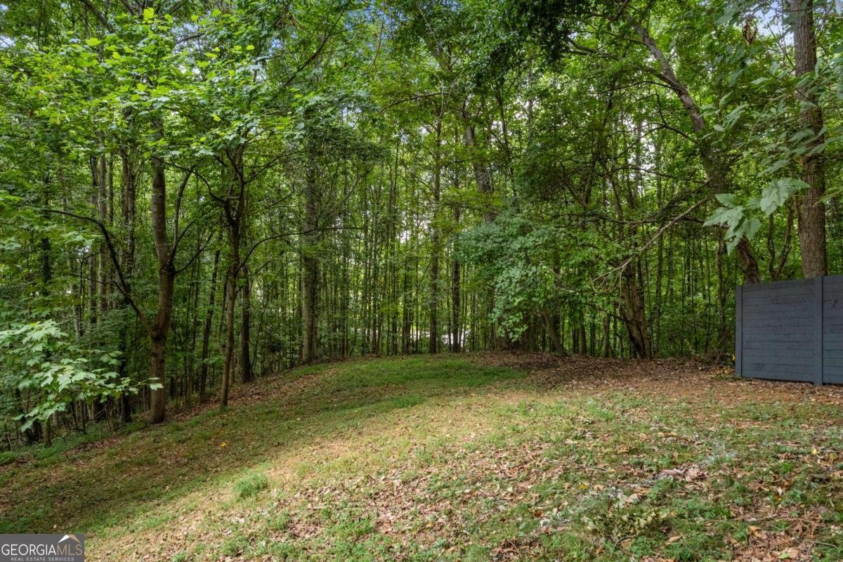 5259 Sanlee Lane Atlanta - 54