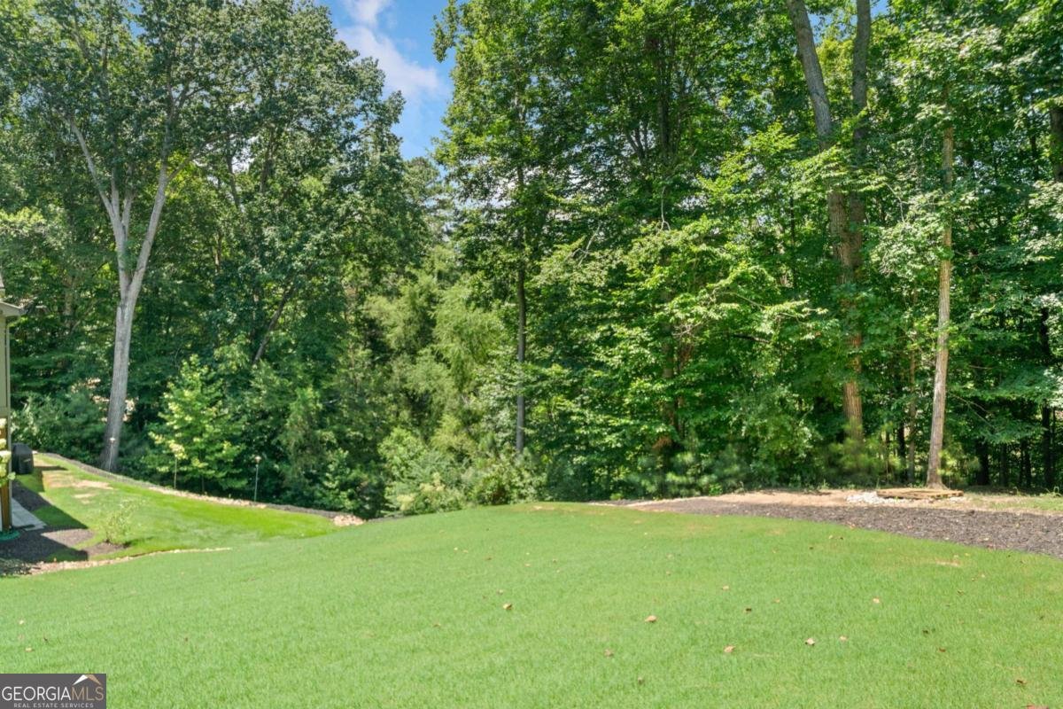4370 Freys Farm Lane Kennesaw - 5