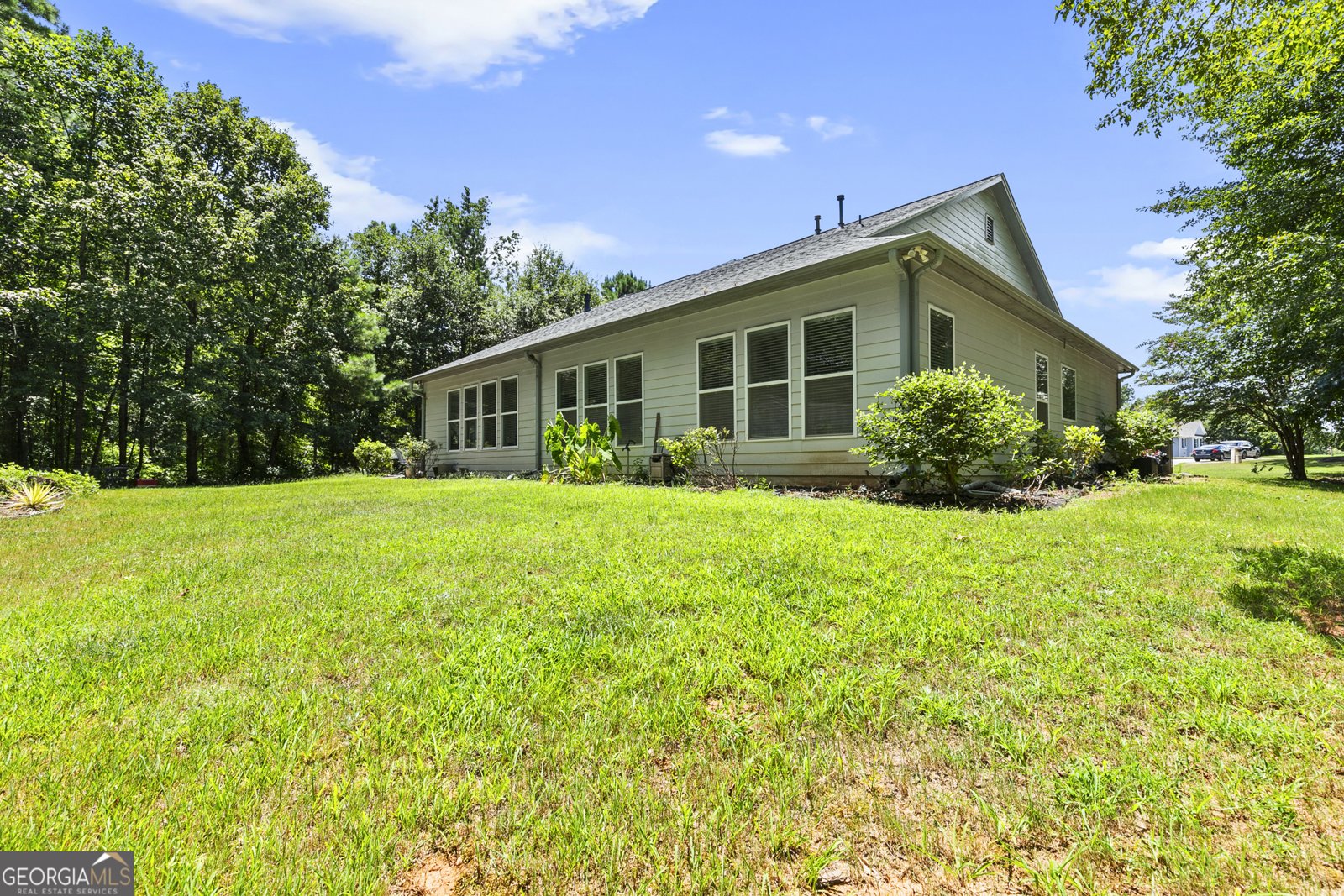 55 Paddle Boat Cove Senoia - 36