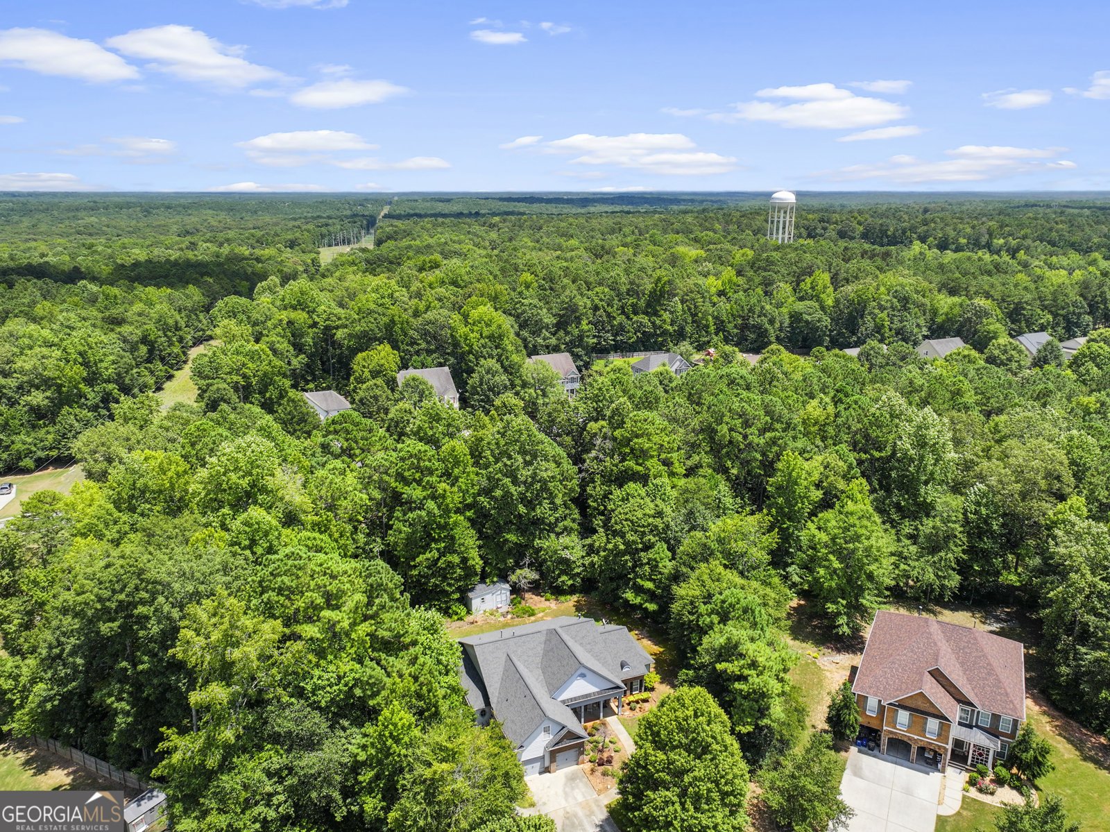 55 Paddle Boat Cove Senoia - 45