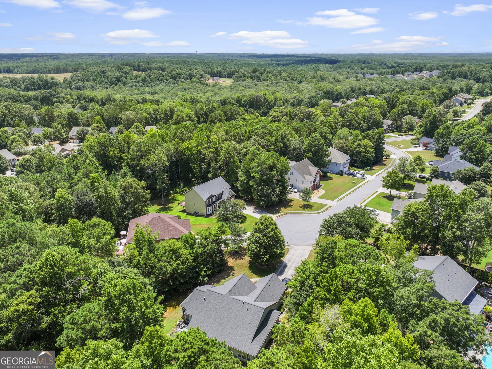 55 Paddle Boat Cove Senoia - 46
