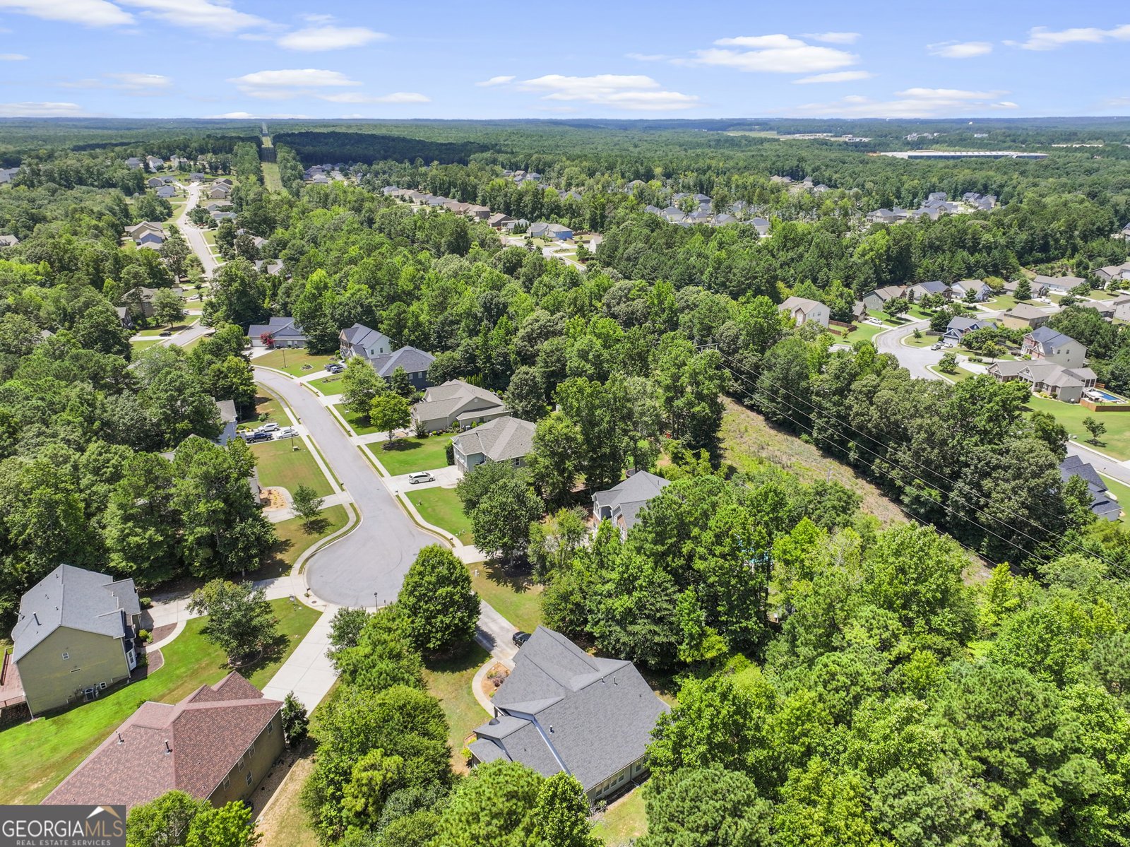55 Paddle Boat Cove Senoia - 47