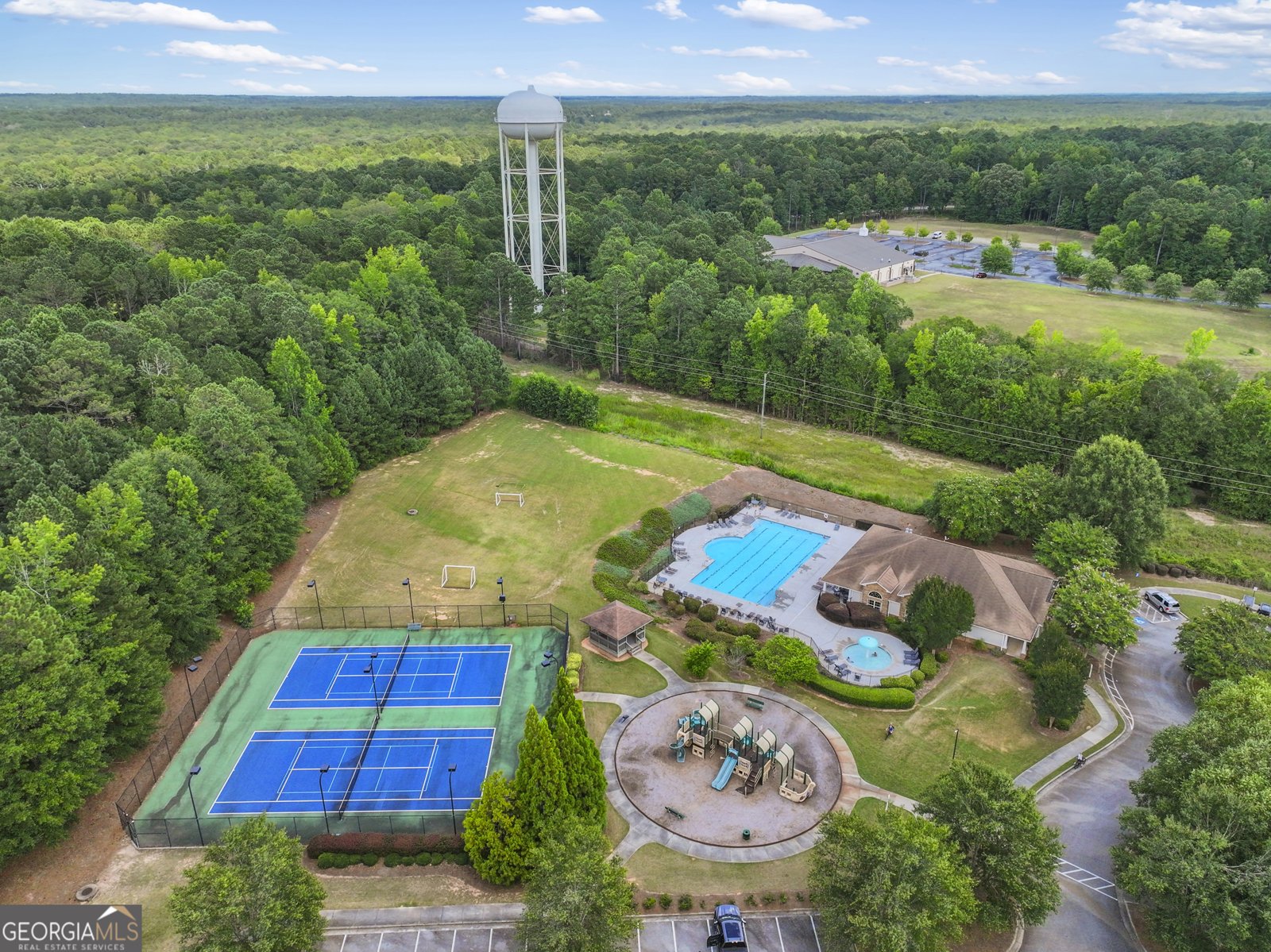 55 Paddle Boat Cove Senoia - 48