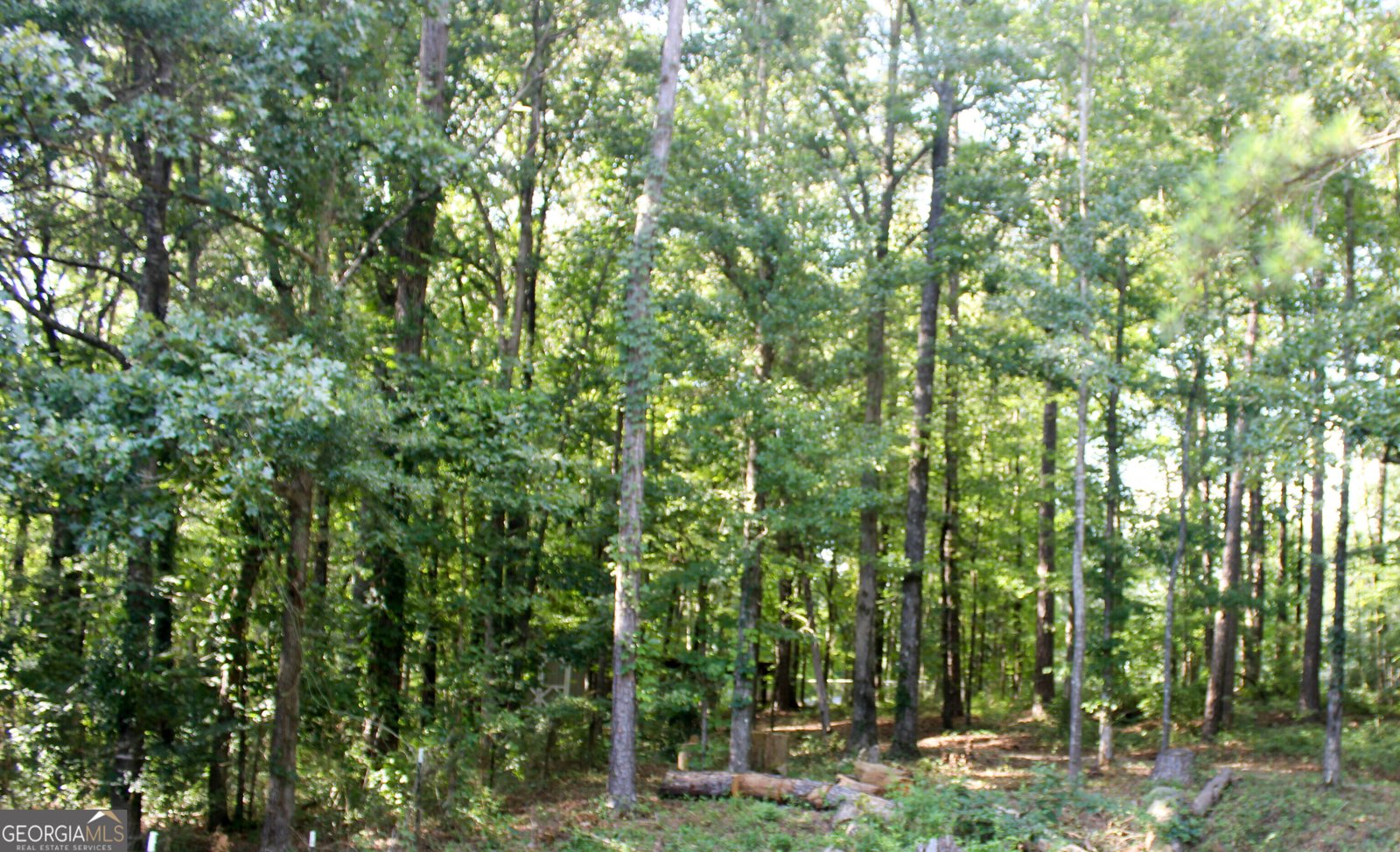 119 Plymouth Drive Lagrange - 51