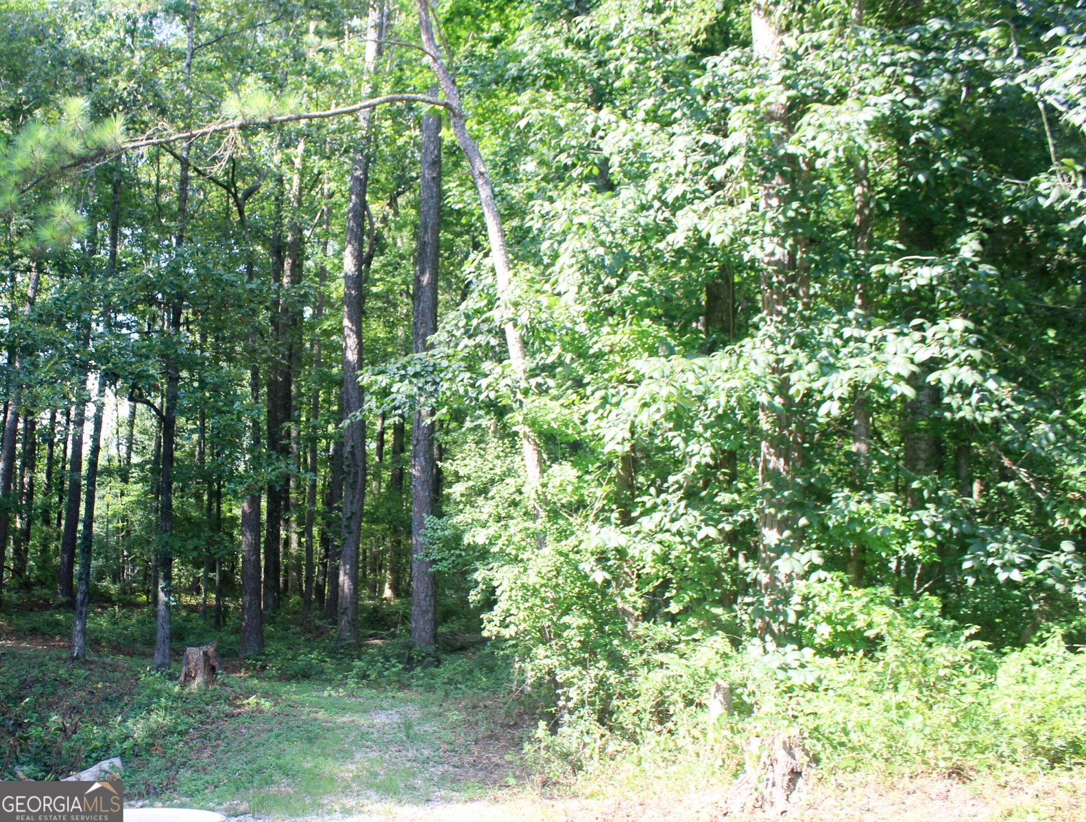 119 Plymouth Drive Lagrange - 52