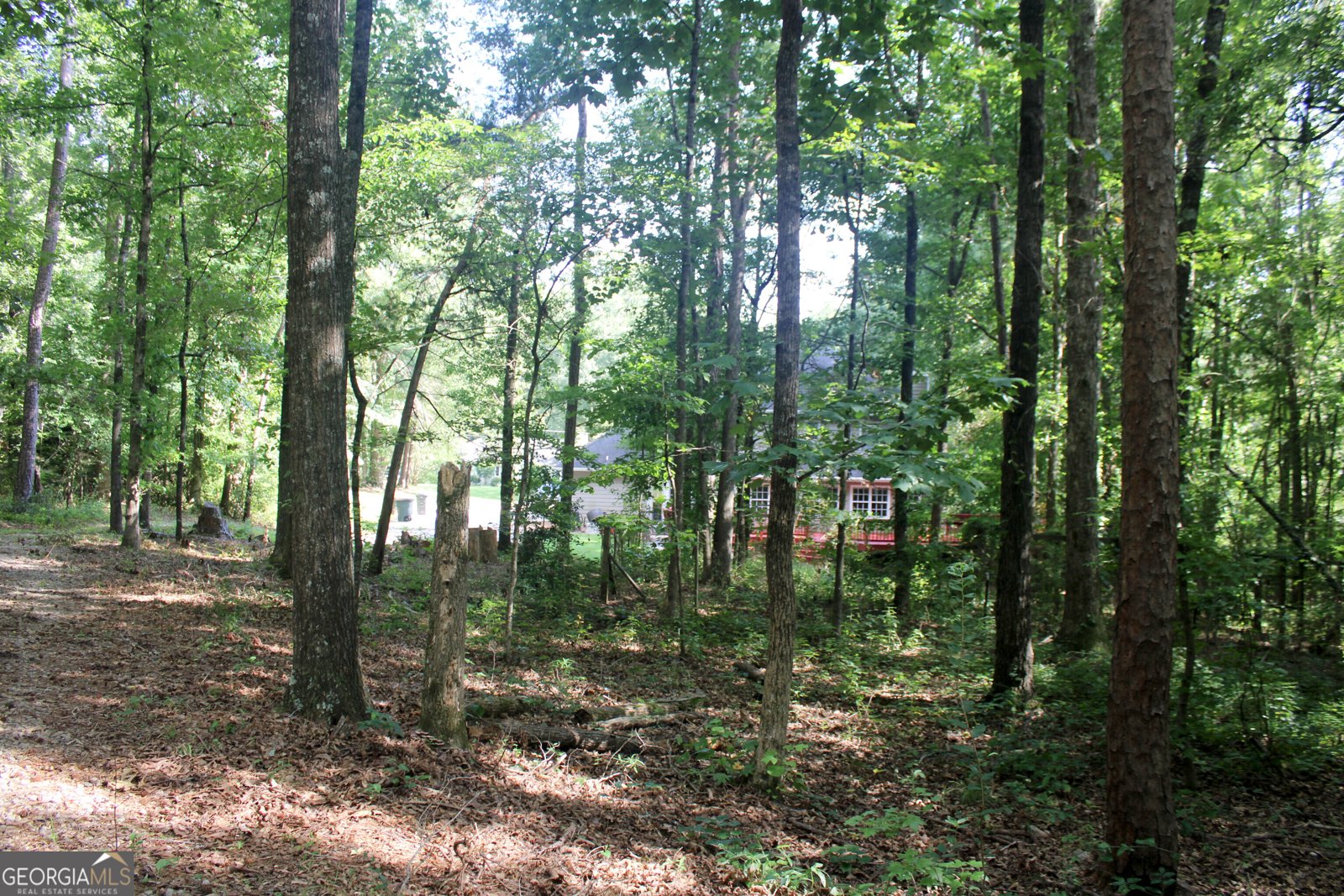 119 Plymouth Drive Lagrange - 54