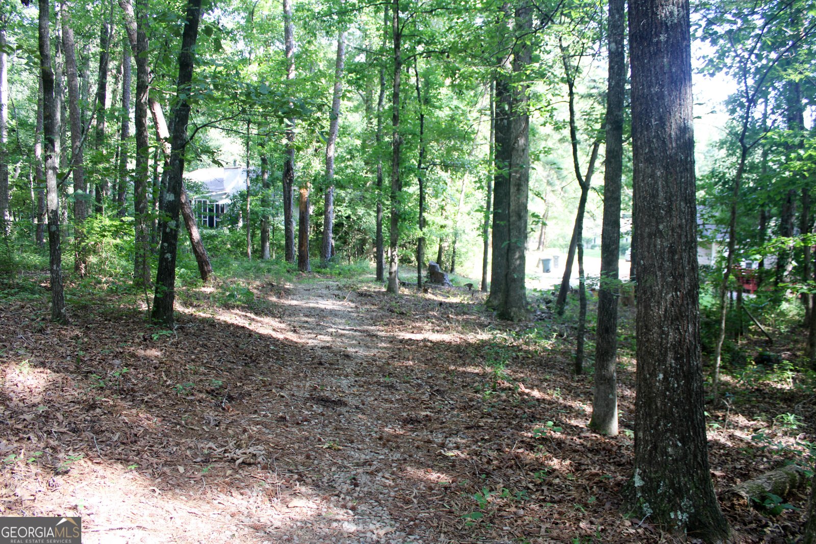 119 Plymouth Drive Lagrange - 57