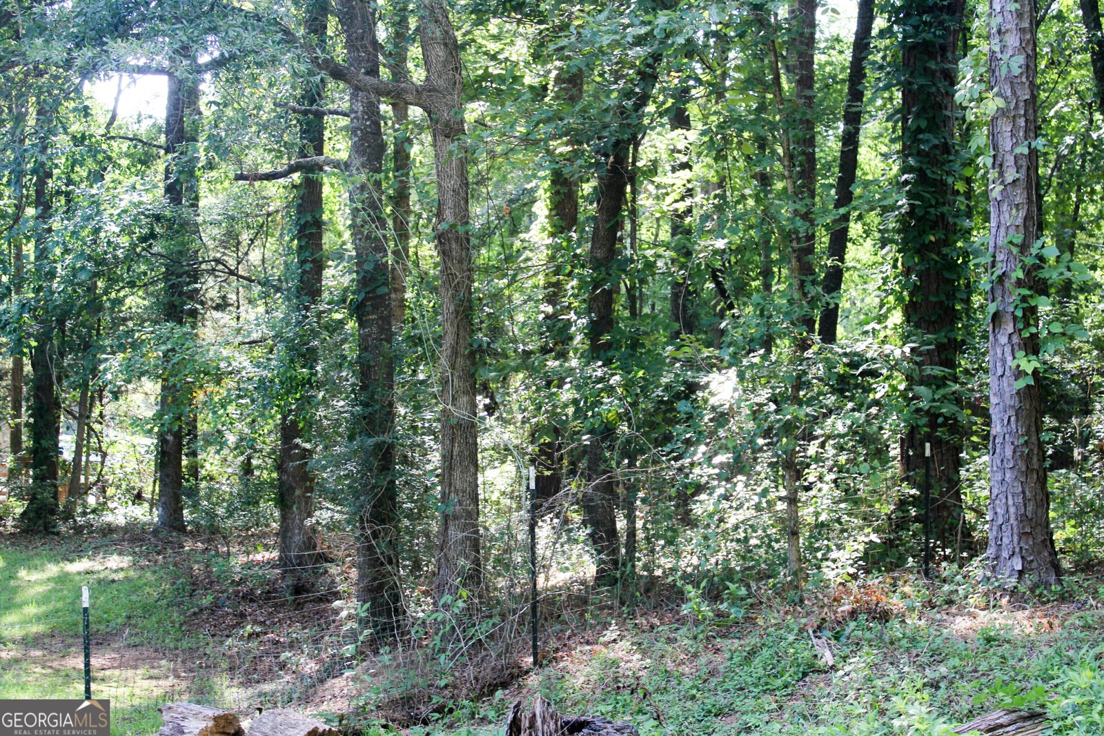 119 Plymouth Drive Lagrange - 58